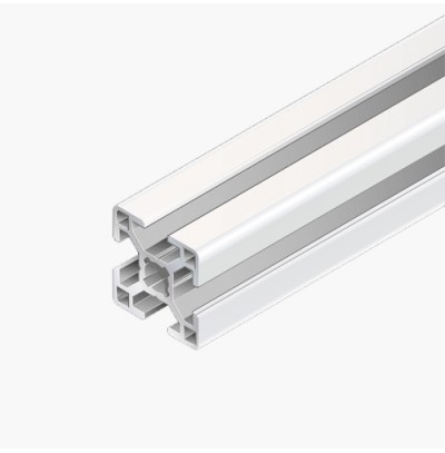 STRUT PROFILE 30X30 